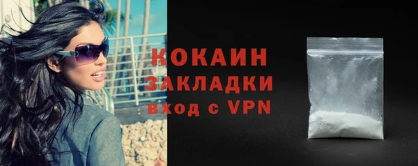 шишки Армянск