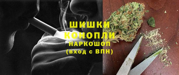 шишки Армянск