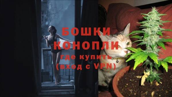 трава Аркадак