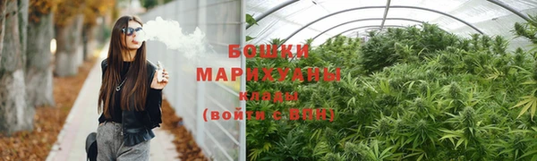 шишки Армянск